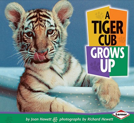 Lions, Tigers, Leopards, Etc.
